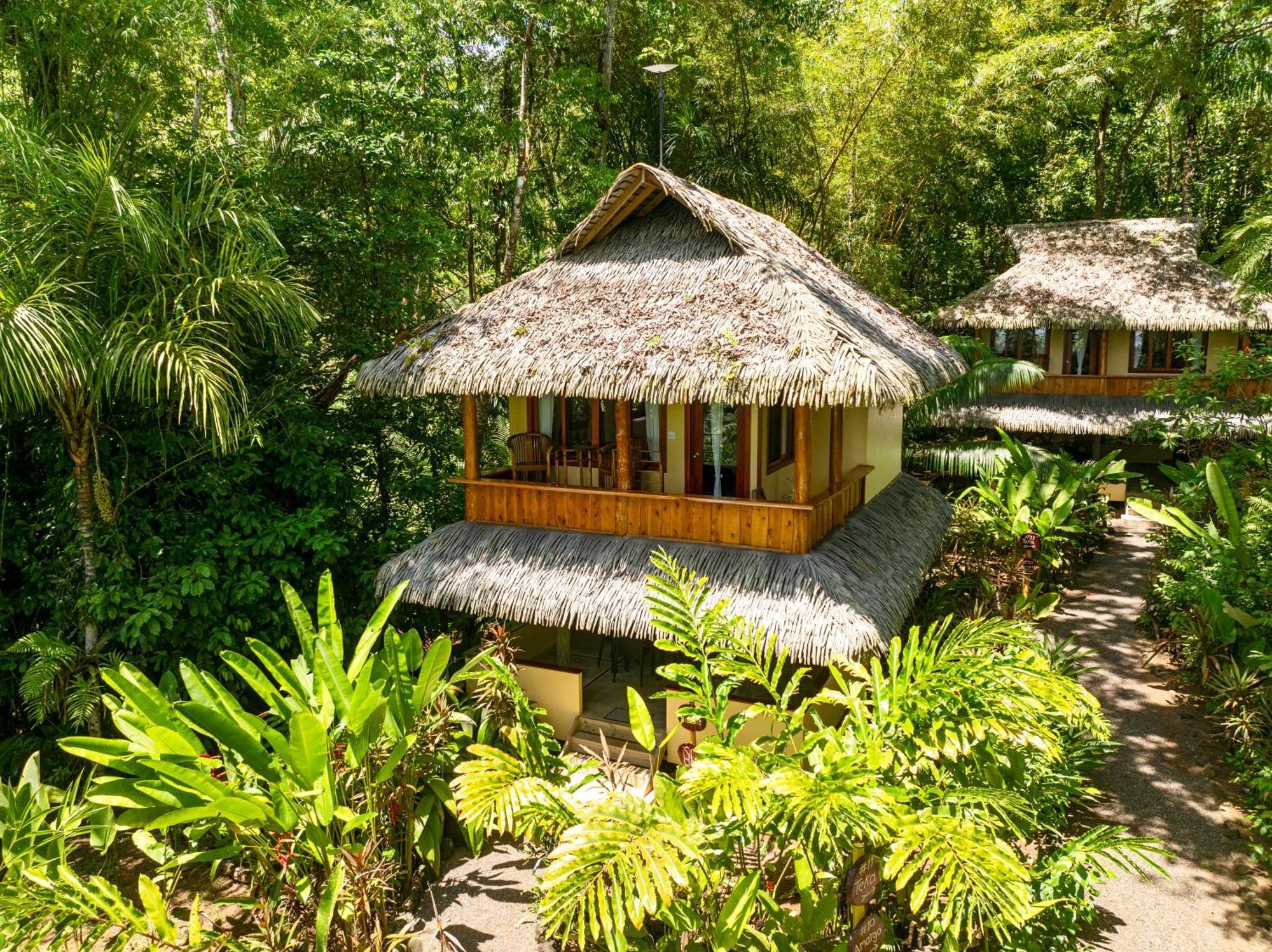 Copa De Arbol Beach & Rainforest Resort Drakes Bay Buitenkant foto