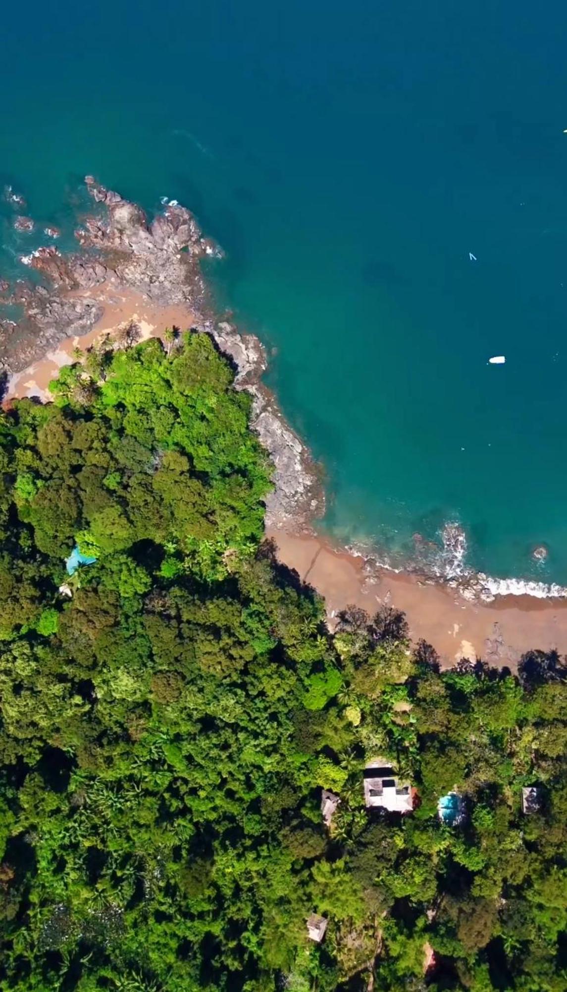 Copa De Arbol Beach & Rainforest Resort Drakes Bay Buitenkant foto