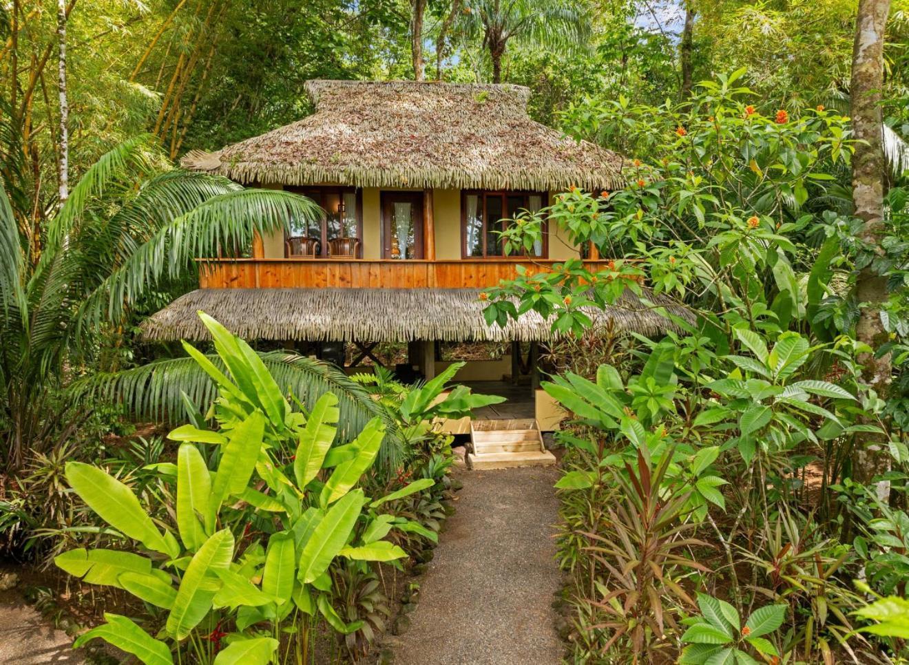 Copa De Arbol Beach & Rainforest Resort Drakes Bay Buitenkant foto