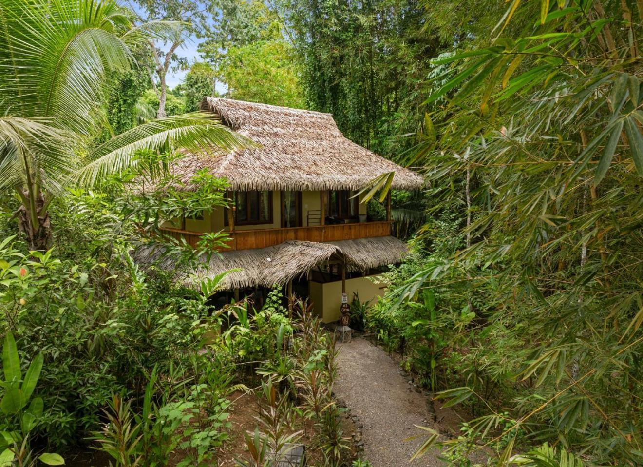 Copa De Arbol Beach & Rainforest Resort Drakes Bay Buitenkant foto