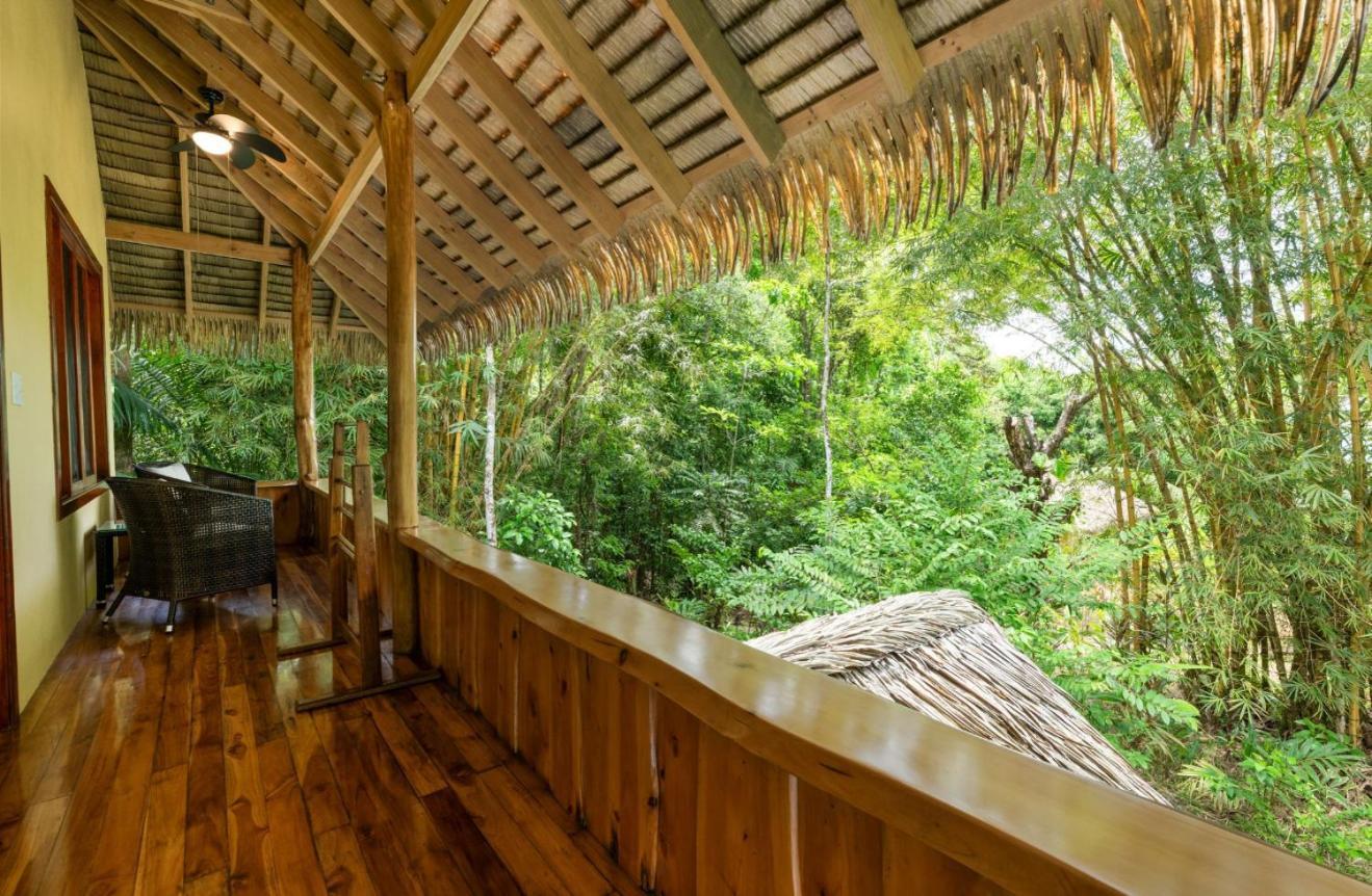 Copa De Arbol Beach & Rainforest Resort Drakes Bay Buitenkant foto