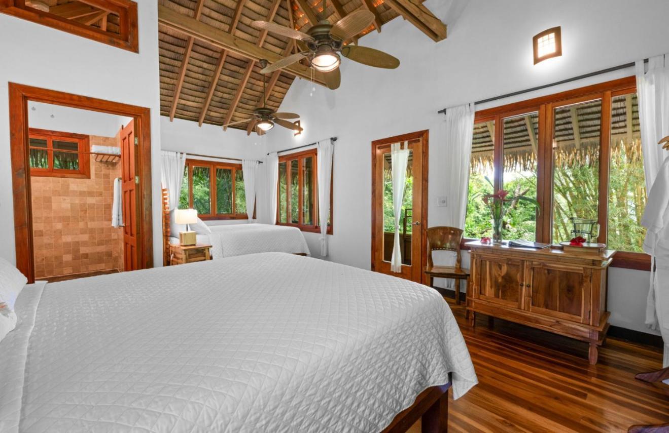 Copa De Arbol Beach & Rainforest Resort Drakes Bay Buitenkant foto