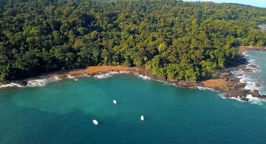 Copa De Arbol Beach & Rainforest Resort Drakes Bay Buitenkant foto